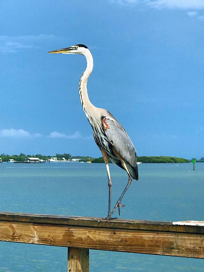 Shorewalk Full Condo Lake View Near To Beach Img Bradenton Bagian luar foto